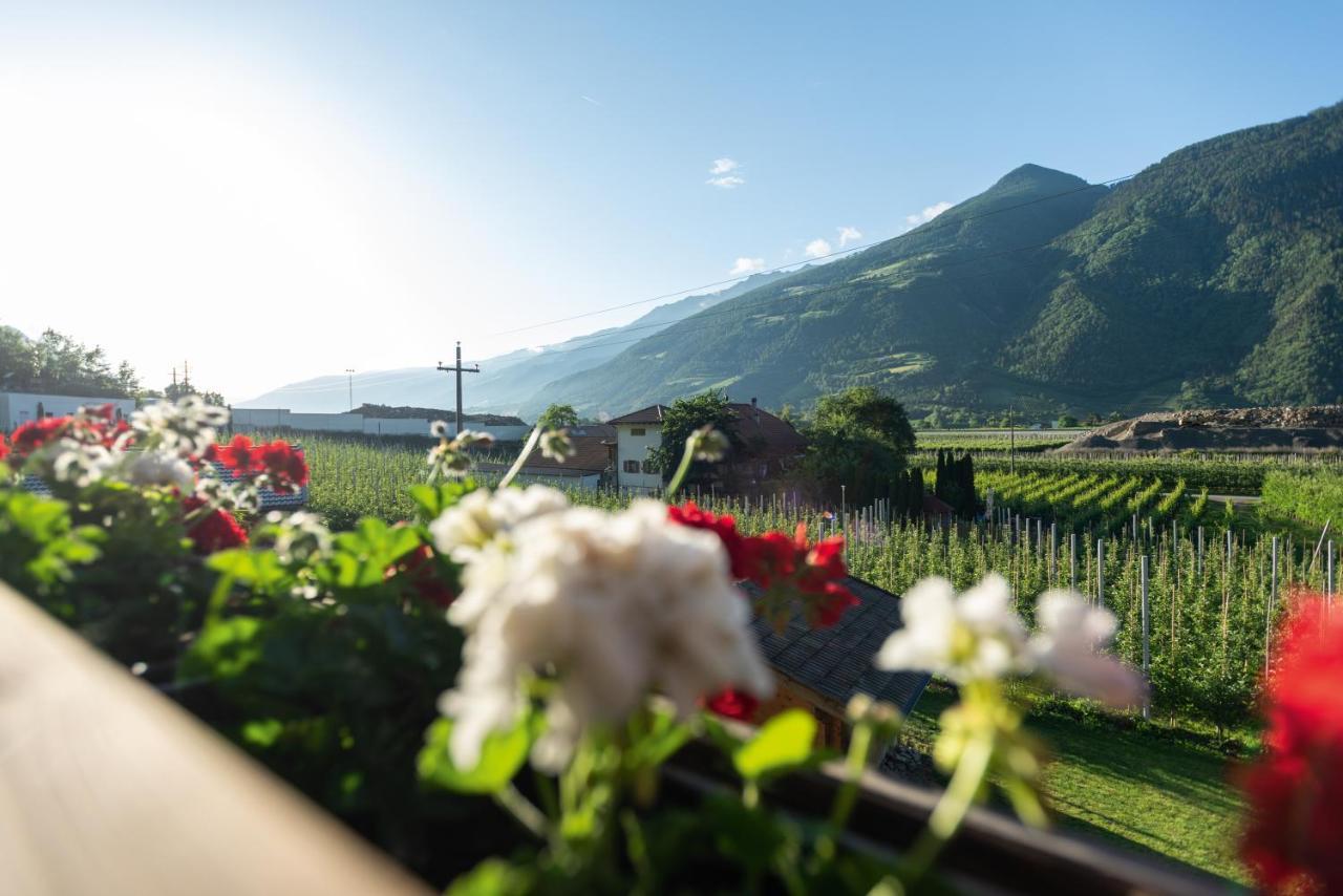 カルテルベッロPixnerhof - Urlaub Am Biohofアパートメント エクステリア 写真